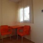 Koru Club