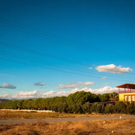 Hotel Koru Club 4*