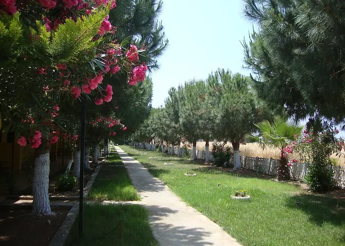 Hotel Koru Club 4*