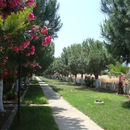 فندق Koru Club 4*