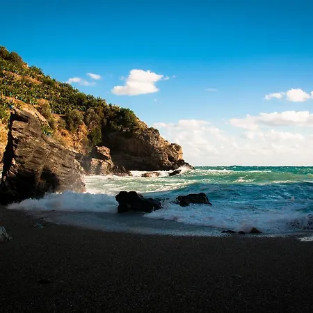 Koru Beach Club