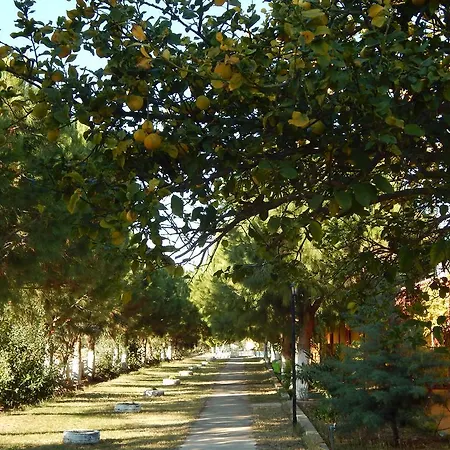 Koru Beach Club Gazipasa