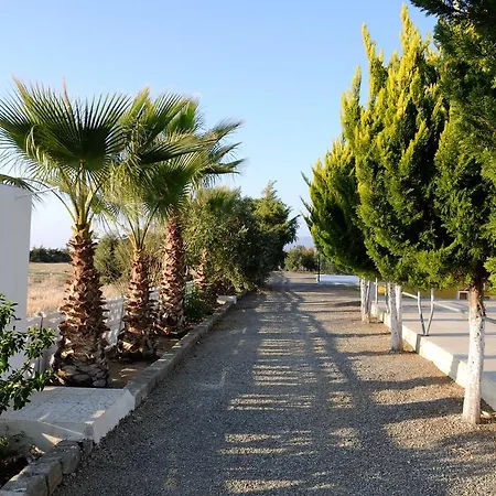 Hotel Koru Beach Club