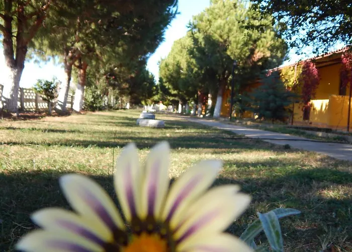 Koru Club 4* גאזיפאשה