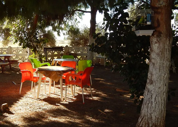 מלון Koru Club גאזיפאשה