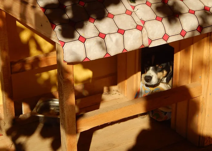 מלון Koru Club 4*