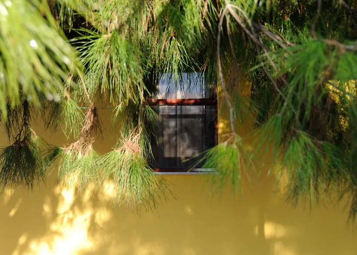 Koru Club 4* גאזיפאשה