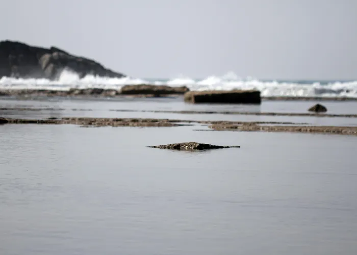 Koru Club גאזיפאשה