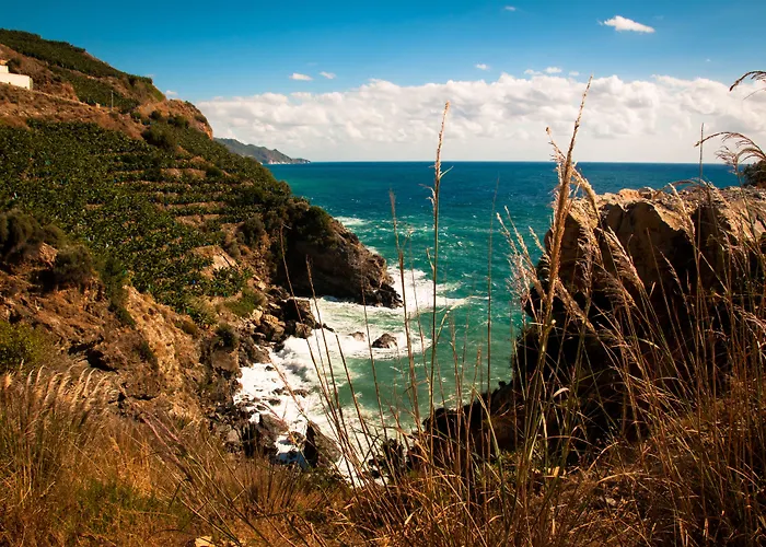 Koru Club מלון 4*