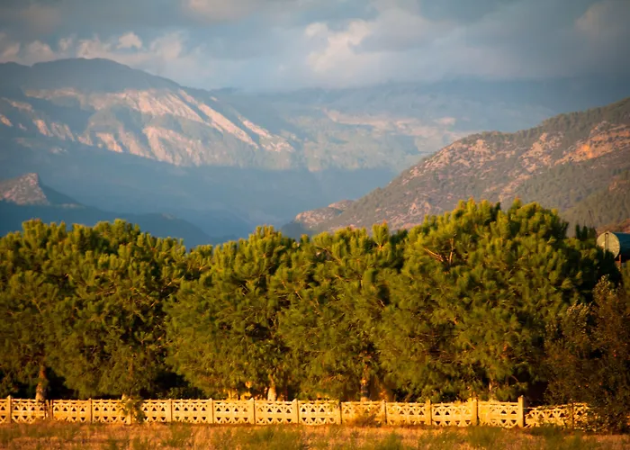 Koru Club גאזיפאשה