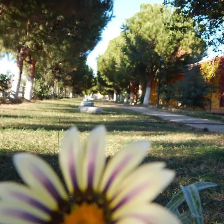 Koru Club 4* Gazipaşa