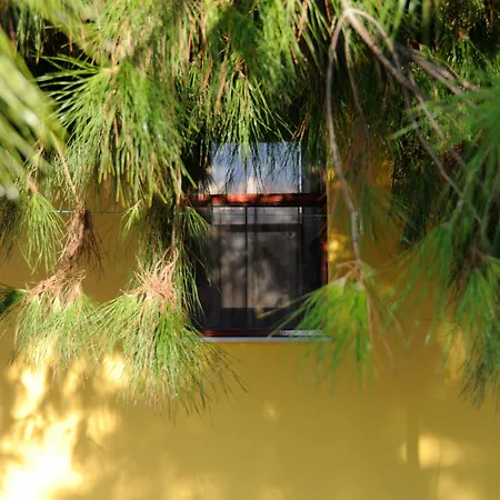 Koru Club 4* Gazipaşa